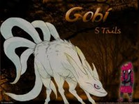 /album/fotogaleria-biju/gobi-jpg/